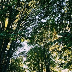 Meet your Posher, Mia